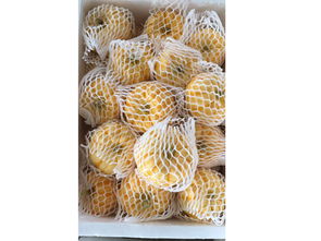 新鮮蔬菜批發(fā)的商機(jī)與郵編商務(wù)網(wǎng)的整合價(jià)值