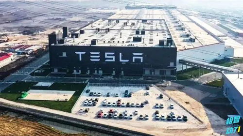 降低成本這招我會 豐田開發新車身技術，直指行業成本命門